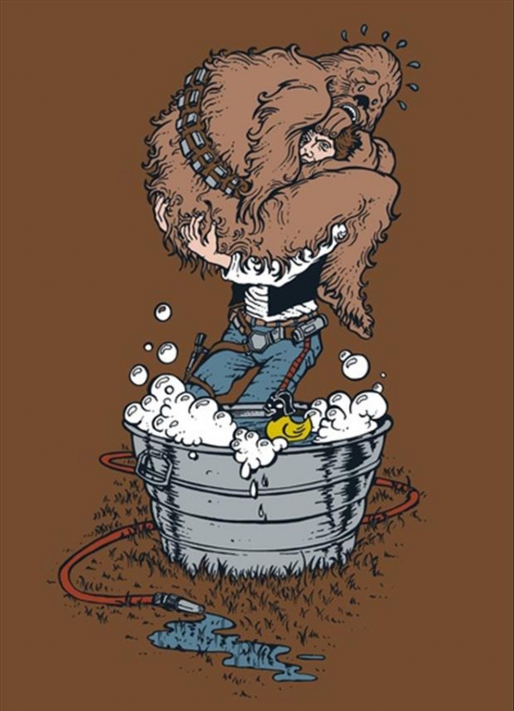 Chewbacca vs the Bath