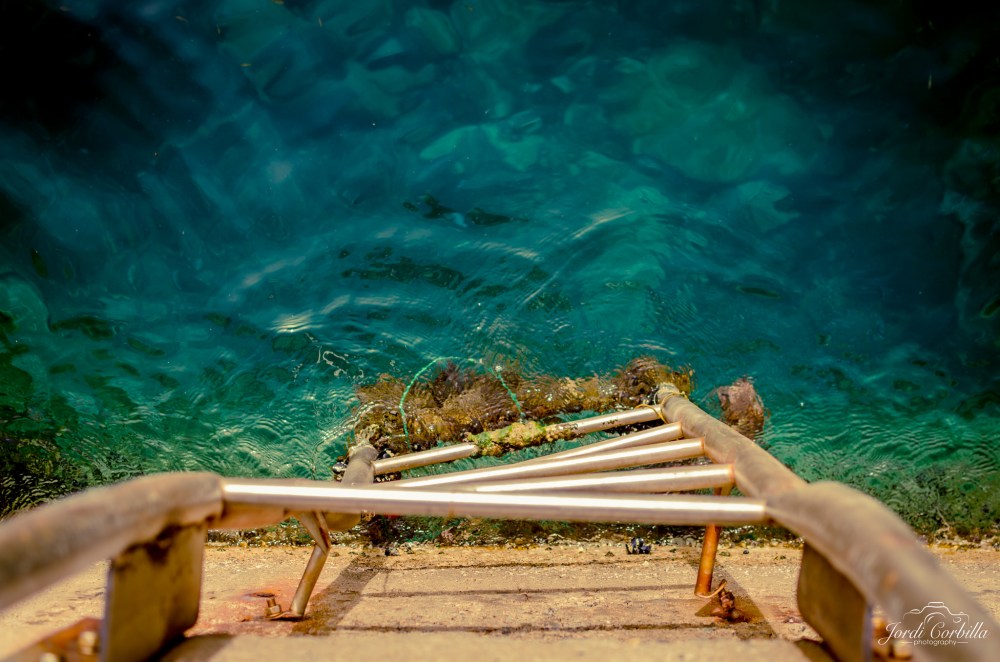 16361512354_7ccc1acffc_k