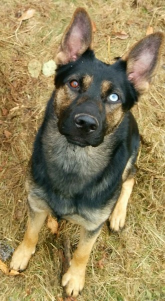 wpid-img_20141108_085802